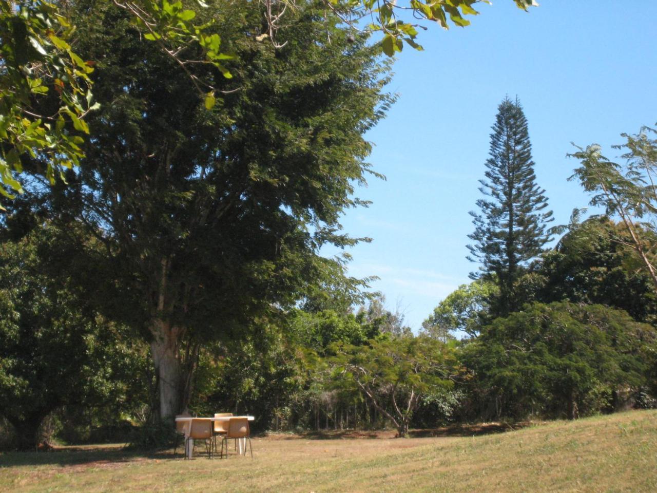 Childers Budget Accommodation Εξωτερικό φωτογραφία